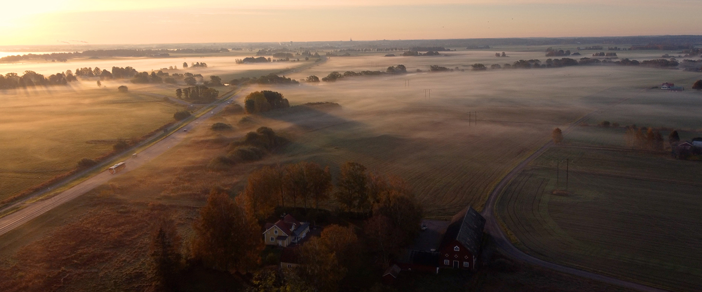 Dimmig soluppgång.jpg