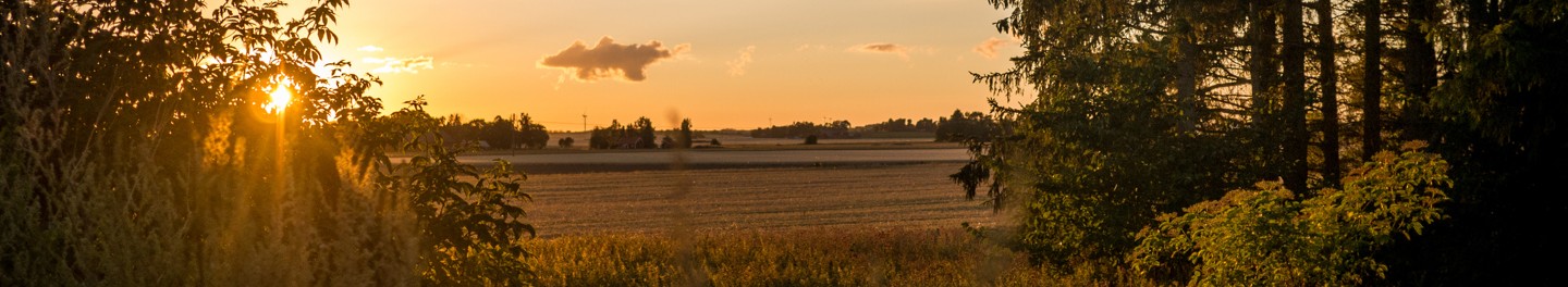 Landsbygdsvy i solnedgång.